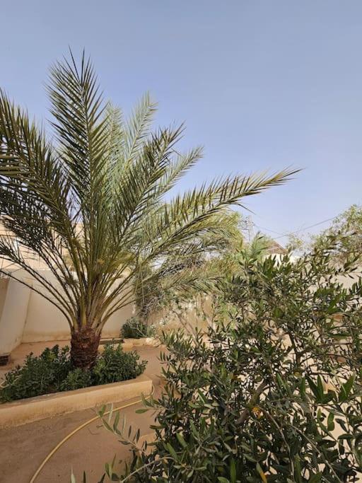 Hadhri Appartement Tozeur Exteriér fotografie