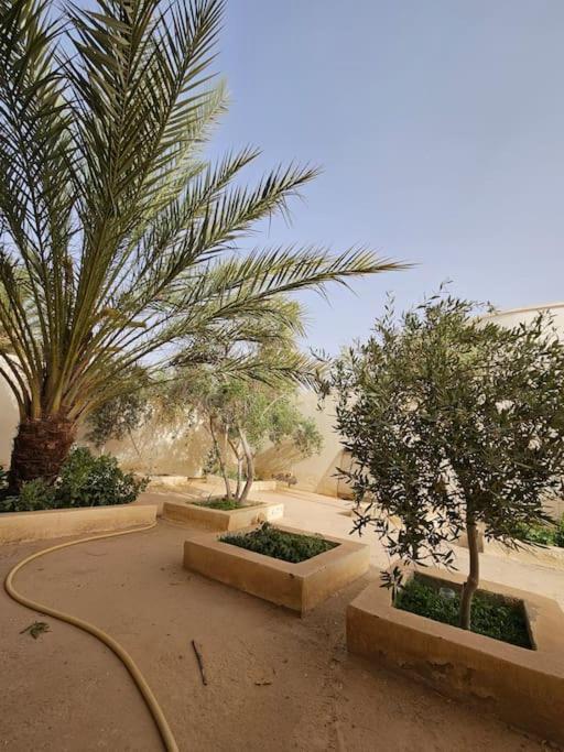 Hadhri Appartement Tozeur Exteriér fotografie